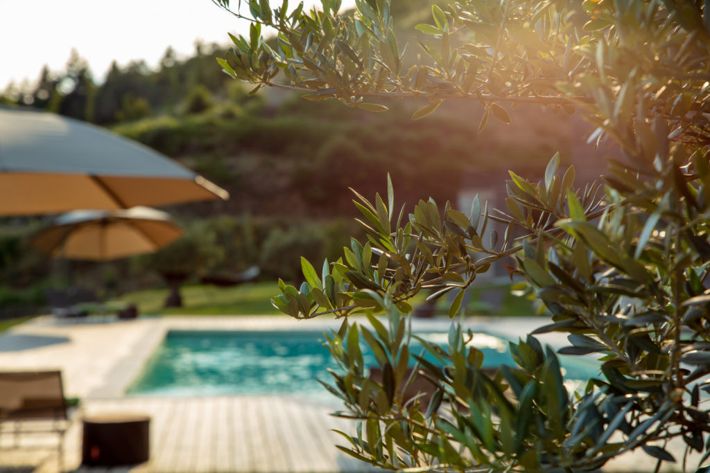 Domaine Merlac Languedoc location maison de vacances piscine séminaire